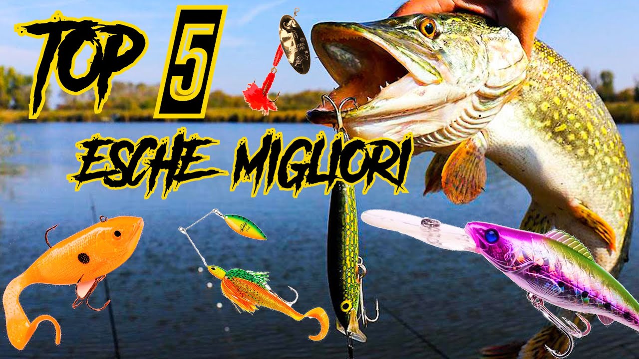 WILD PREDATOR 🐊 -TOP 5 ESCHE MIGLIORI PER IL PIKE FISHING ( PESCA AL LUCCIO )