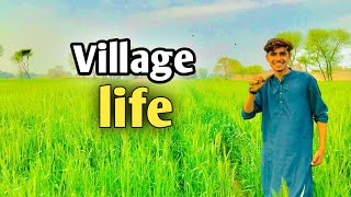 Village Life In Northern Pakistan Baking Tandoori Bread & Making Omelette For Dinner