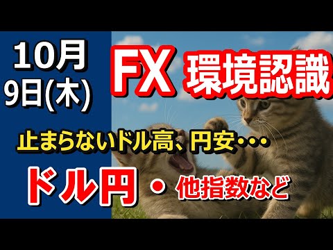【TAKA FX】止まらないドル高、円安･･･　ドル円他各通貨の環境認識解説。各種指数、GOLDなど　10月9日(木)