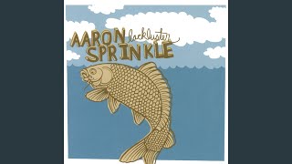 Video thumbnail of "Aaron Sprinkle - All You Can Give"