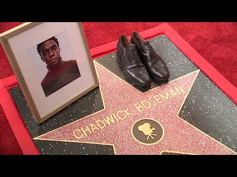 Chadwick Boseman honored with posthumous Hollywood star | REUTERS