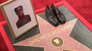 Chadwick Boseman honored with posthumous Hollywood star | REUTERS