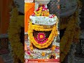 mahakal ki gulami #mahakal status video