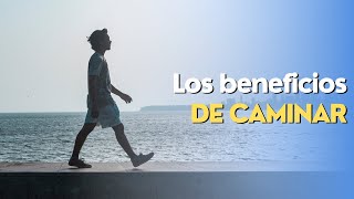 Darío Alejandro Papaqui Ramírez-13