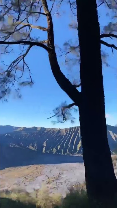 STORY WA IG LIBURAN KE GUNUNG, GUNUNG BROMO, INDONESIA.