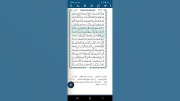 سورة النساء اية(٢٢)