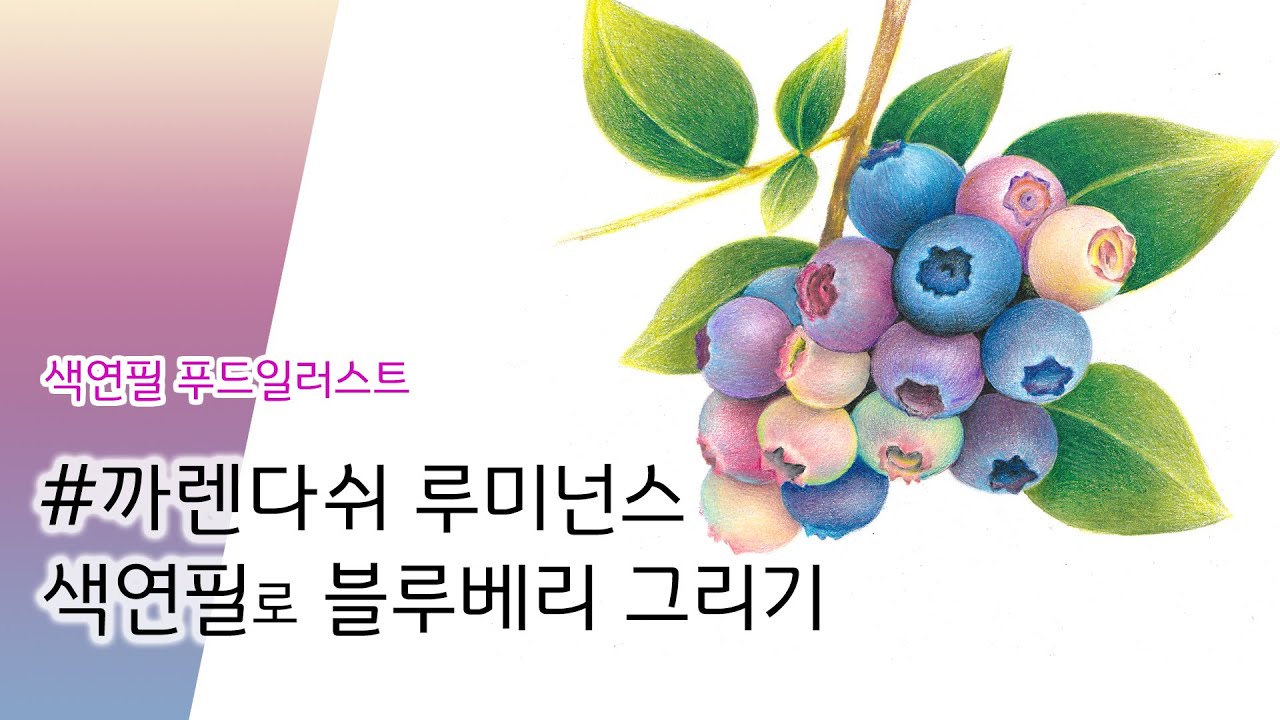 까렌다쉬 루미넌스 색연필로 블루베리 그리기. 까렌다쉬와 프리즈마 색연필의 차이. Drawing blueberries with CARAN D'ACHE colored pencils.