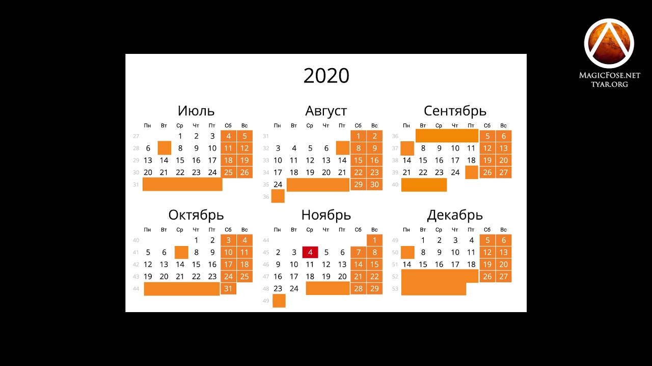 График работы с июля 2020 до февраля 2021 - Маг Fose