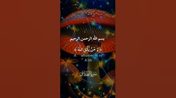قرآن كريم سورة الطلاق بصوت الشيخ ماهر المعيقلي #قرآن #قرآن_كريم #اكسبلور #ترند #لايك #تيك_توك #video