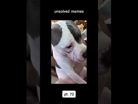 unusual memes compilation