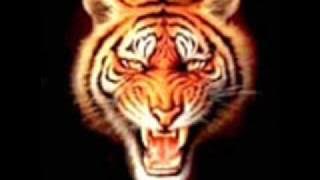 KRISTAL BAND ''SEJENAK'' BY:AGASSI