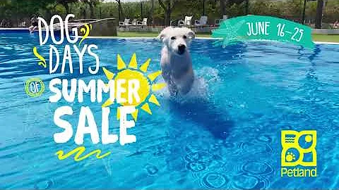 Dog Days of SUMMER Sale - On Now - DayDayNews