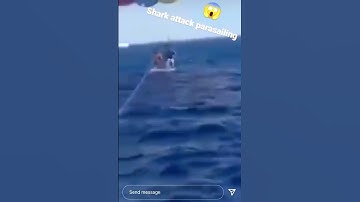 Grafik: Hiu Raksasa Menyerang Pria yang Berparalayang di Aqaba, Yordania