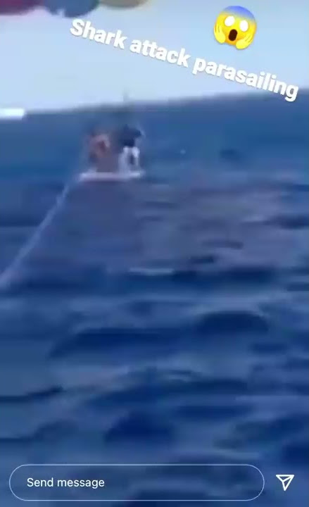 Graphic: Giant Shark Attacks Man Parasailing in Aqaba, Jordan
