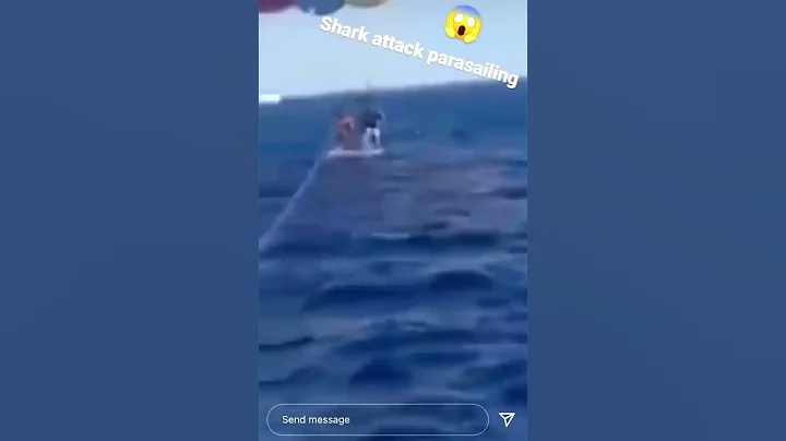 Graphic: Giant Shark Attacks Man Parasailing in Aqaba, Jordan