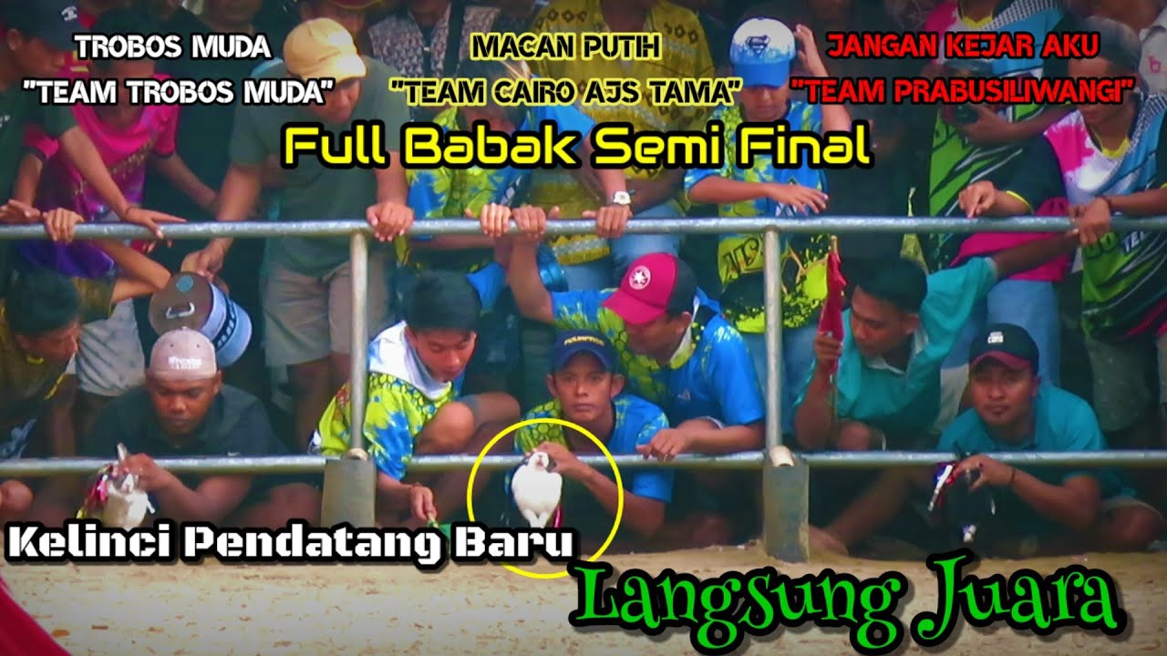 FULL SEMI FINAL YANG MENEGANGKAN KERAPAN KELINCI HUT BREKAY BALAP TEAM BANGKALAN