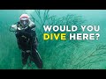 Diving in langkawi is it worth it  malaysia travel vlog ep 6