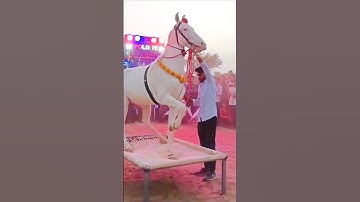 Chunni me chunni me 😱😱#shorts