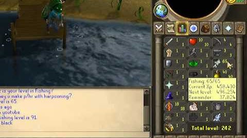 Minimap glitch on Runescape | C o ca