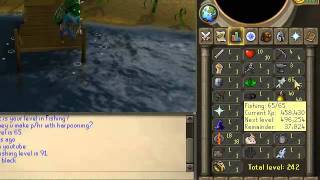 Minimap glitch on Runescape | C o ca