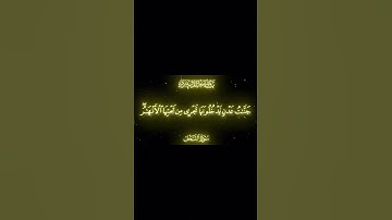تآملات خاشعة في سورة النحل بصوت ياسر الدوسري