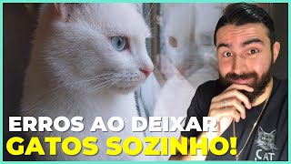 Nunca Faça ISSO Quando Deixar Seu Gato SOZINHO!