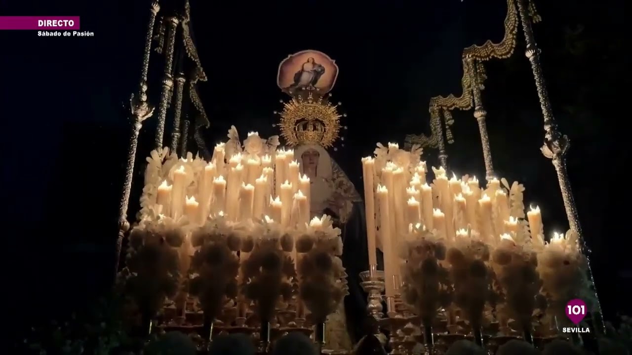 Entrada Purísima Concepción (Divino Perdón) | Sevilla 2025