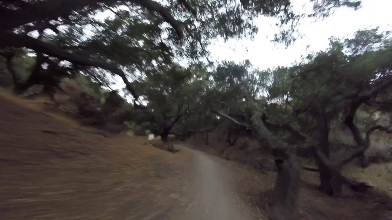 Into the Wild - WHITING RANCH [evening MTB ride] - YouTube