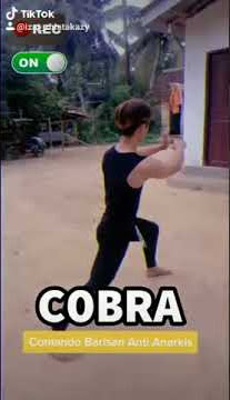 Jurus pembuka dan penutup PS.COBRA