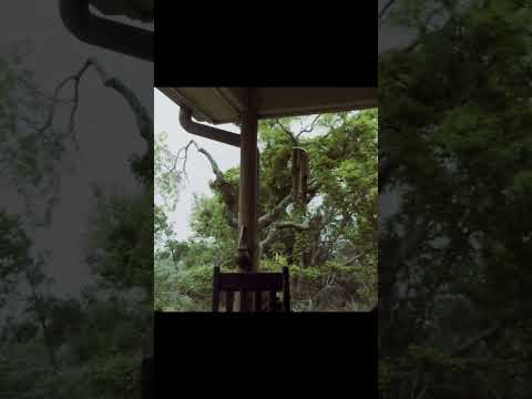 BlistyKCam: When am I allowed to go back?