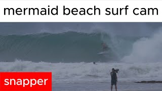 snapper with mermaid beach surf cam