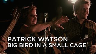 Watch Patrick Watson Big Bird In A Small Cage video