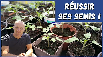 Comment bien planter des semis ?