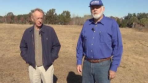 Mole Crickets - Introduction and History