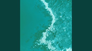 Pulsating Moods for Tropical Getaways