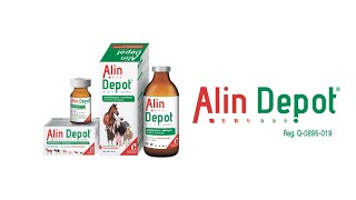 𝗔𝗹𝗶𝗻 𝗱𝗲𝗽𝗼𝘁®