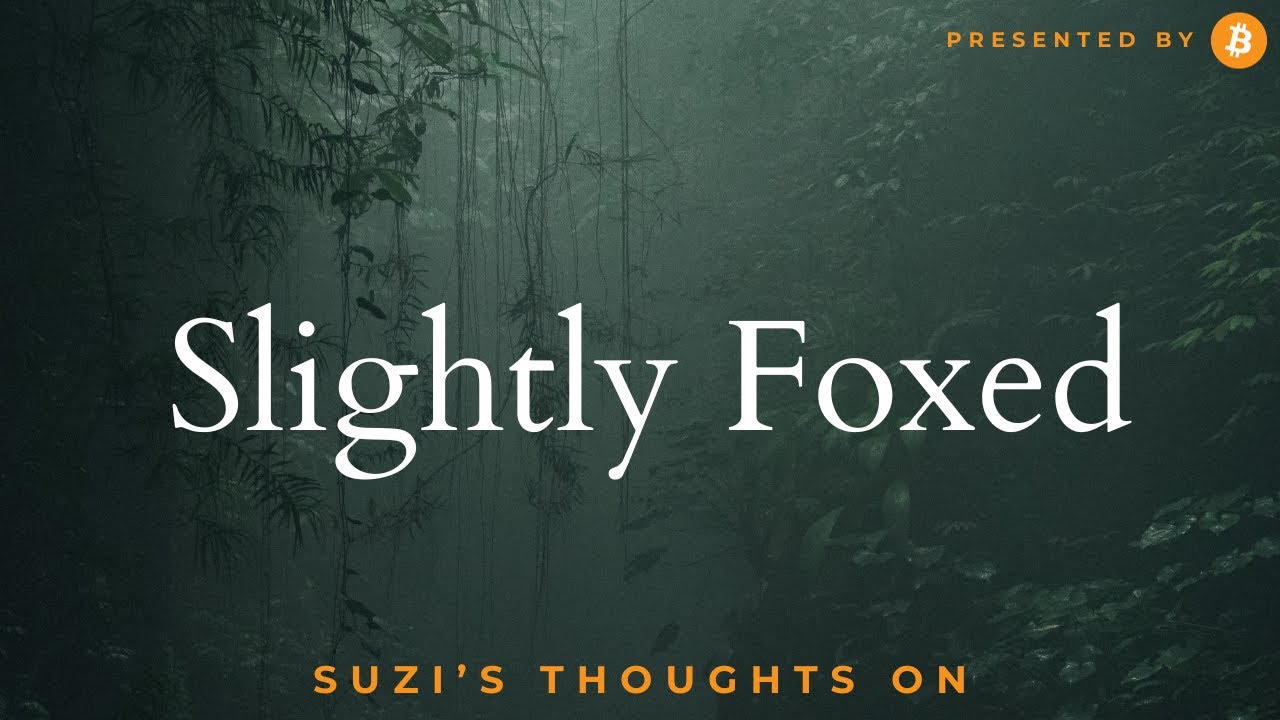 Suzi's reviews the Slightly Foxed Readers Day. video thumbnail