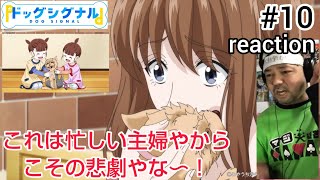 ドッグシグナル 同時視聴