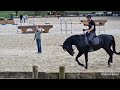 Stage dressage toppy hit star mont le soie avec ric chalamet