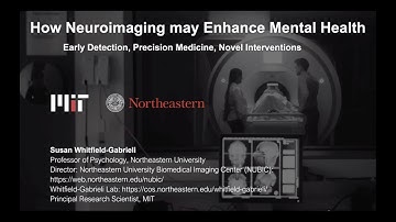 How Neuroimaging May Enhance Mental Health: Early Detection, Precision Psychiatry & Novel Treatments