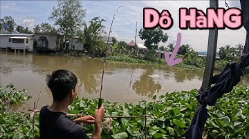 Câu cá sát ở bãi câu tạp hoá Diệu Hiền, một bãi câu cá ụt như cá nuôi