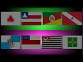 Official Challenge Flag Band: More Brazilian States | World Flag Band