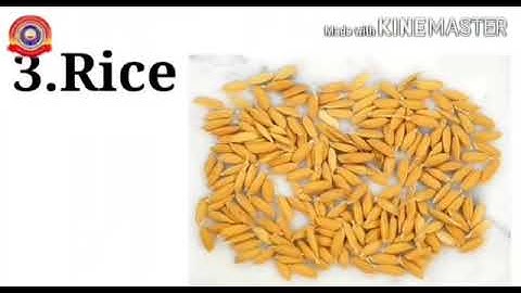 KRSMA#Standard 7 Basic Science Part 2 Chapter 1 Reaping Gold From Soil.