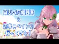 志摩スペイン村に行きました。あと身内の冠婚葬祭の話【クッコロ・セツ / 深層組 Vtuber】