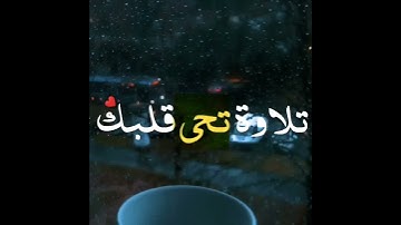 حالات واتس اب تلاوة خاشعة 💛 القارئ رعد الكردي 🎧