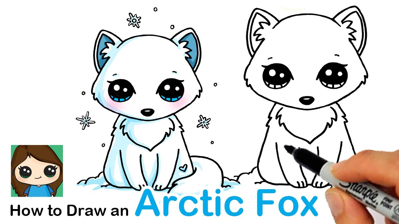 How to Draw an Arctic Fox Easy - YouTube