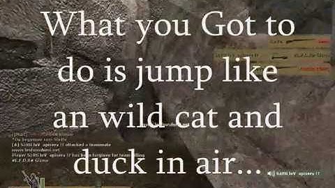 Day Of Defeat Source : The famous DoD_Bunky bug