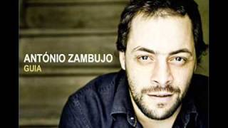 Video thumbnail of "António Zambujo - A Deusa da Minha Rua"