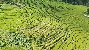 Sẵn sàng cho Hội Mùa vàng 2025