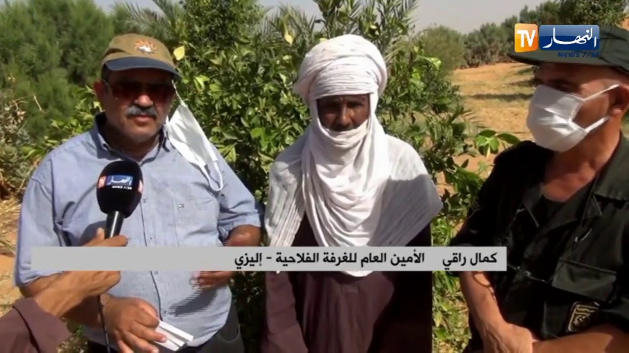 إليزي: خرجات ميدانية لتشجيع الفلاحين على تطوير الإنتاج الفلاحي